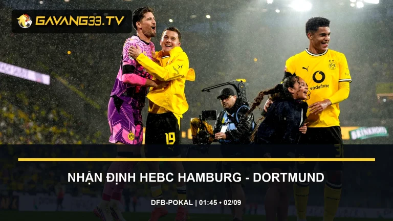 nhận định HEBC Hamburg vs Borussia Dortmund - ảnh đội bóng