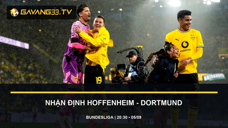 nhận định Hoffenheim vs Borussia Dortmund - ảnh đội bóng