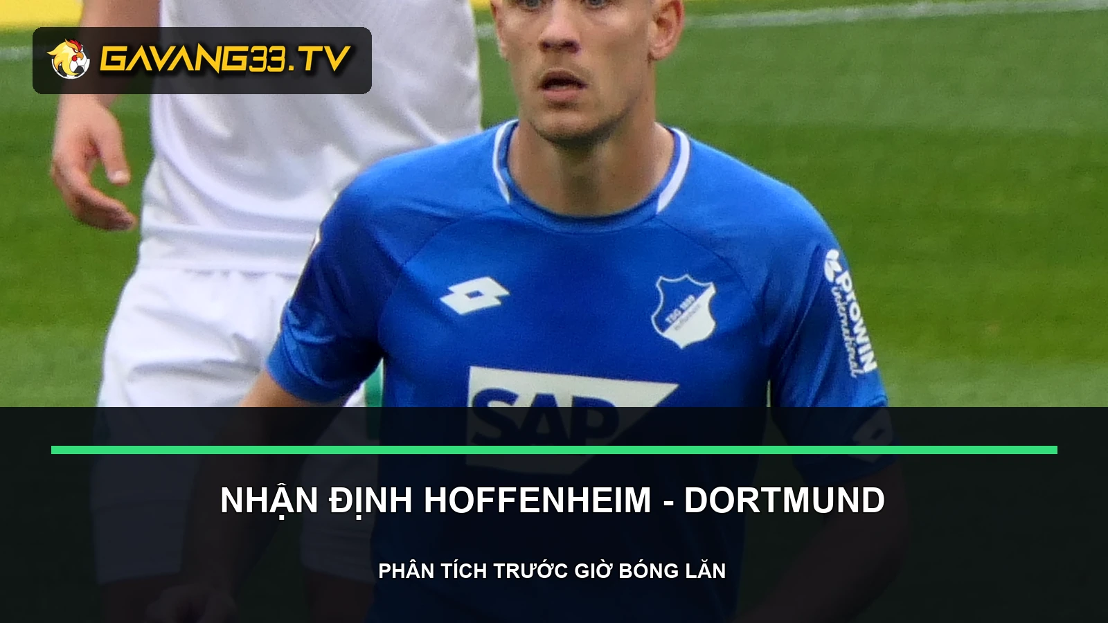 nhận định Hoffenheim vs Borussia Dortmund - ảnh tư liệu đội bóng