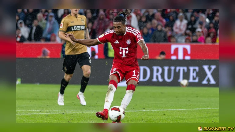 đội hình Bayern Munich trên sân trong ảnh tư liệu trước trận